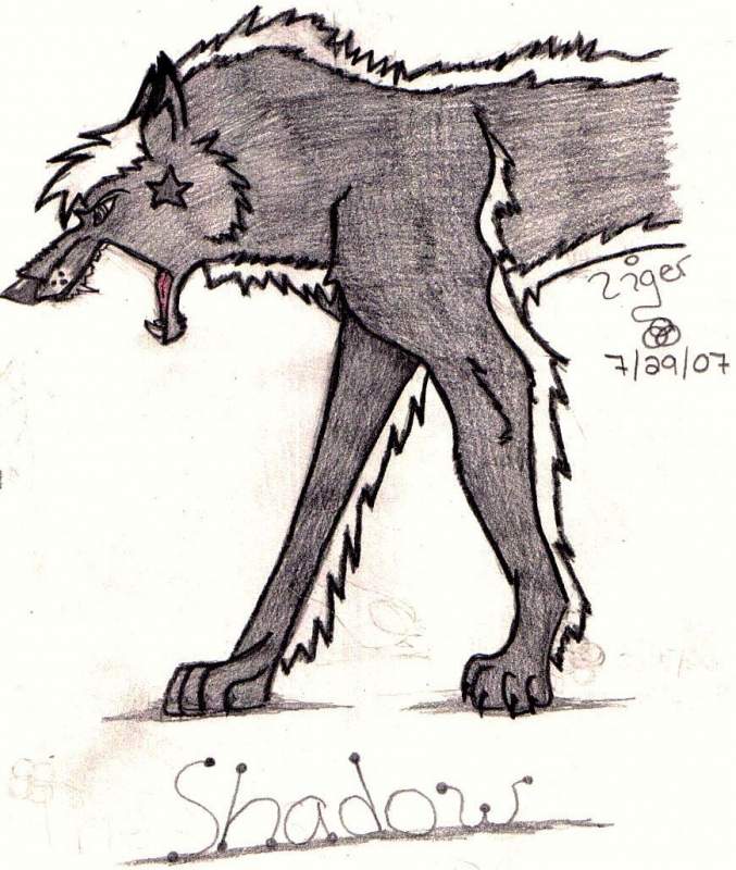 Killer Shadow