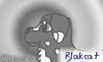 Blakcat