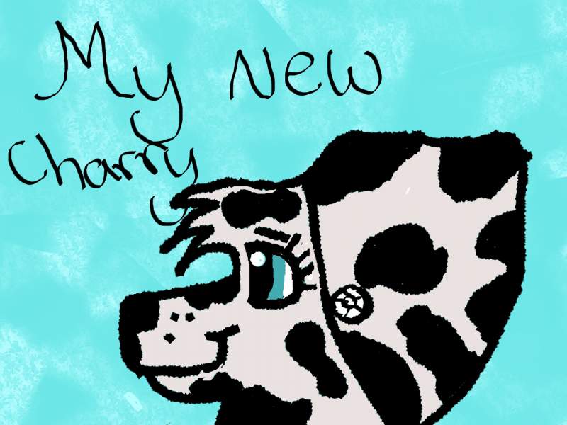 My new charry 