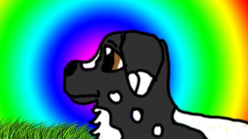 Pepppy