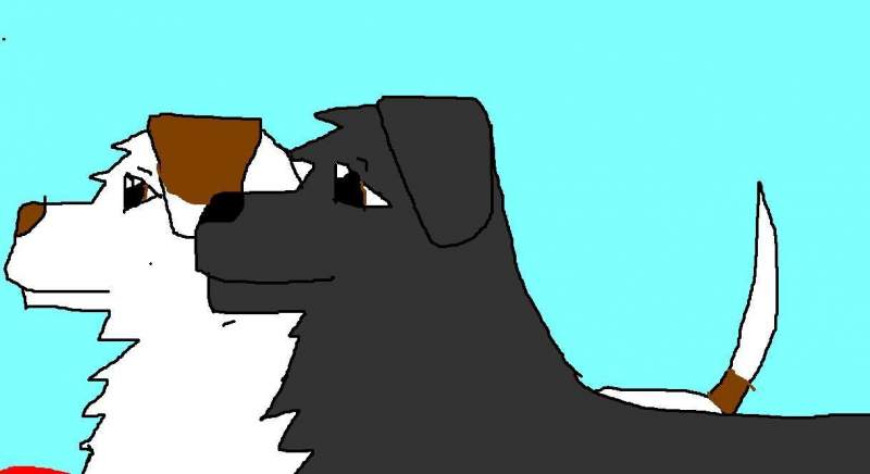 Balto