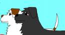 Balto