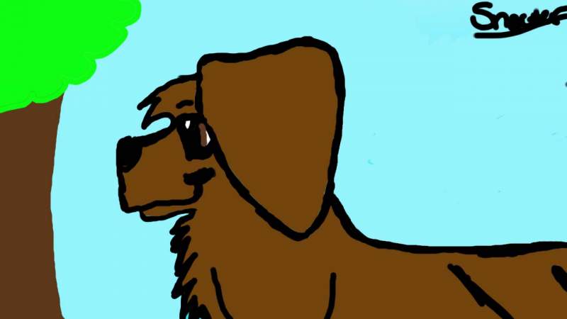 Sniffer