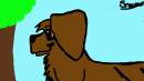 Sniffer