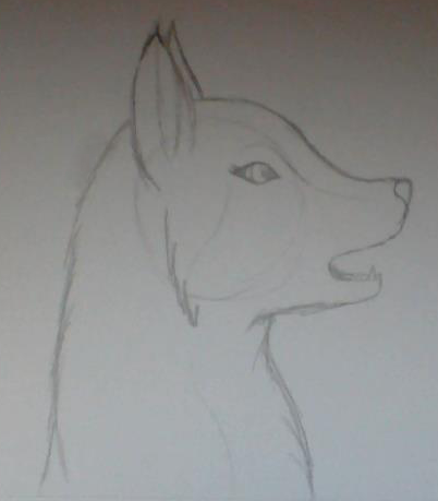 Alue drawing 6-10-2014