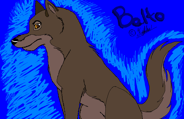 Balto Practice 