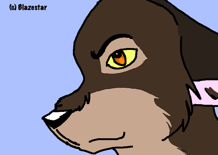 Balto