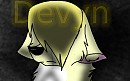 Devyn Introduction