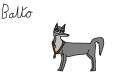 Balto