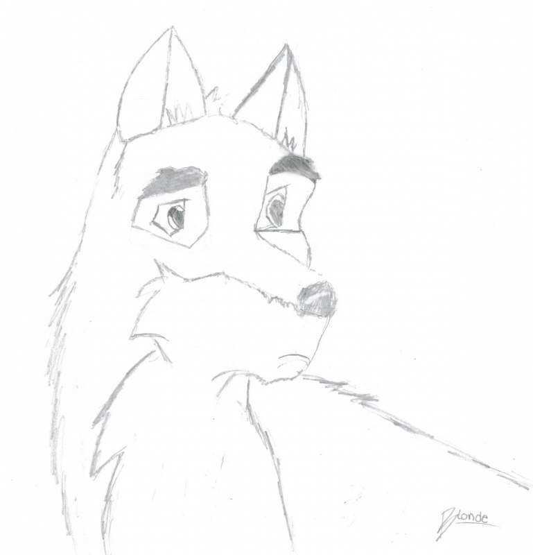My first Balto Picture