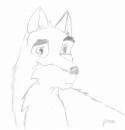 My first Balto Picture