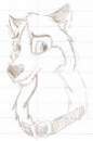 Balto's father