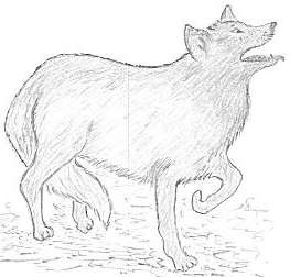 howling wolf
