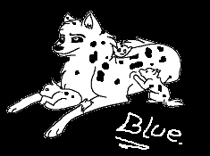 Dalmatian wolf