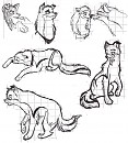 Doodles