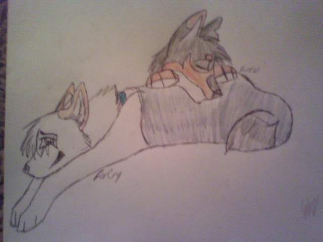 FarCry And Dustin. D'aww