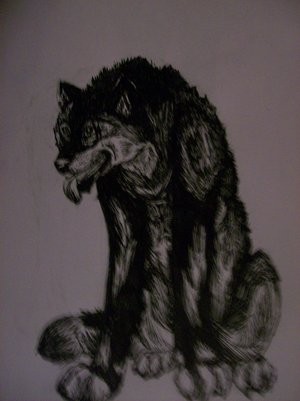 Pen and Ink, Realistic Caden