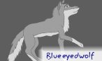 blueeyedwolf