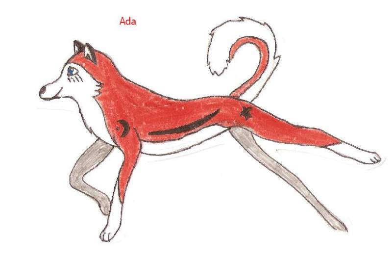 Ada