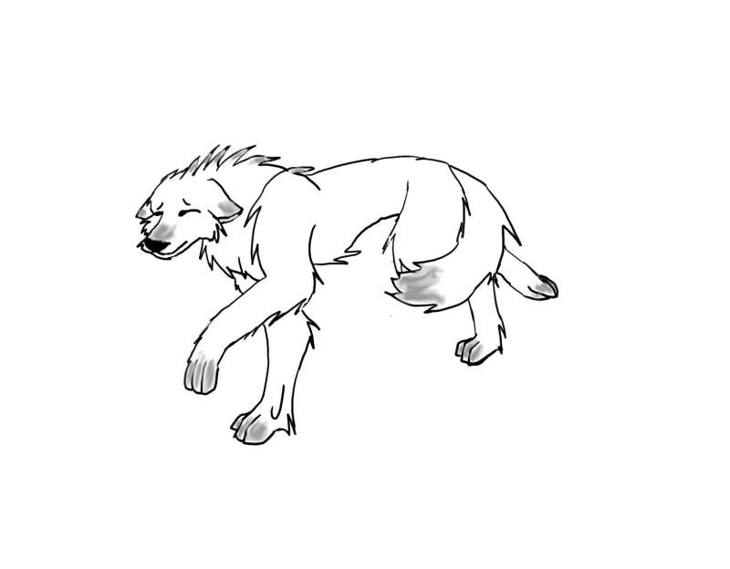 Starr