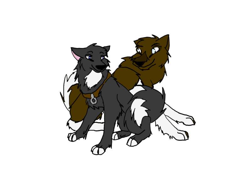 Raven and Bronze
