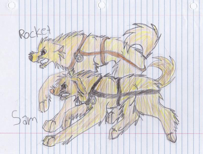 Rocket and Sam