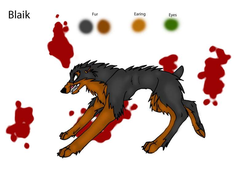 Blaik ref!!^^