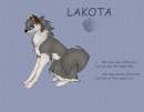 Lakota 