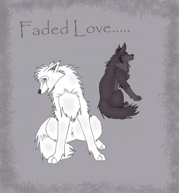 faded  love...