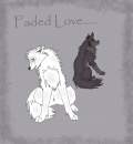 faded  love...