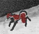 A winters run