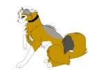 Sheba