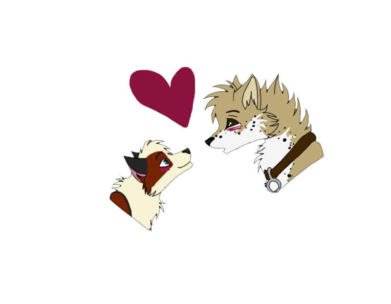 Nero and Nila! :3