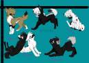 .:Slayer & Alyx's Puppehs!!!:333