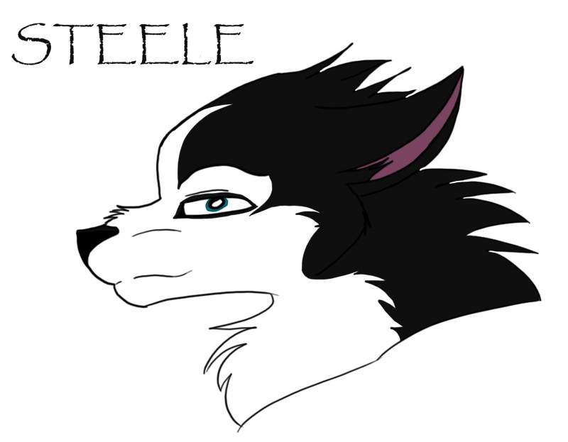 .:Steele ROX!!!:.