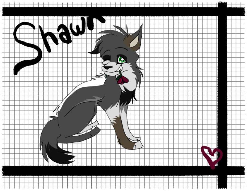 Shawn!!!:D