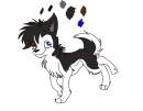 pup # 6