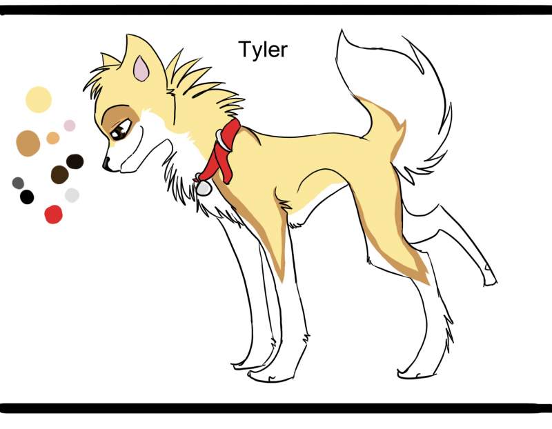 meet Ty!!!!!:D