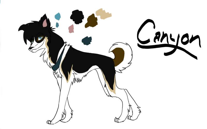 Canyon