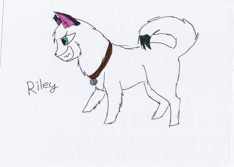 Riley