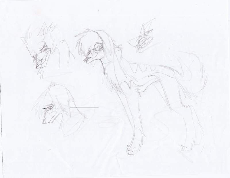 Inez origanal sketch and bio