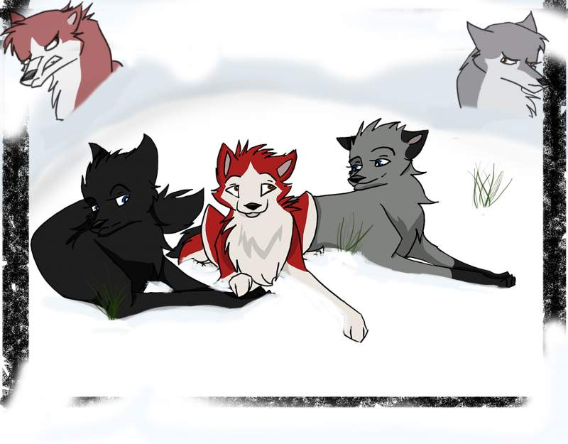 Finished cover for Riley!:D
