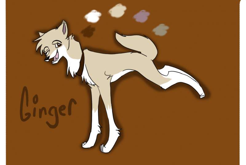 Ginger