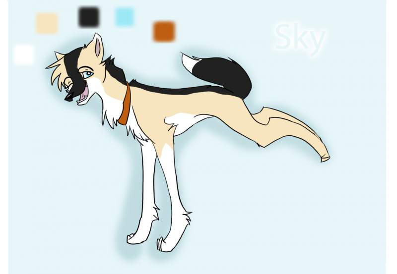 Sky
