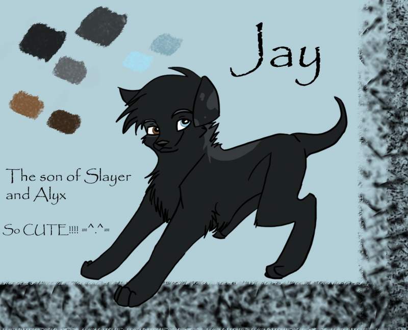 Jay!!