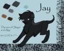 Jay!!
