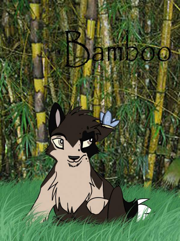 Bamboo loves you too!! =^.^=