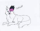 Gift Art to wolf-lion!!!!