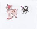 steele and sheba
