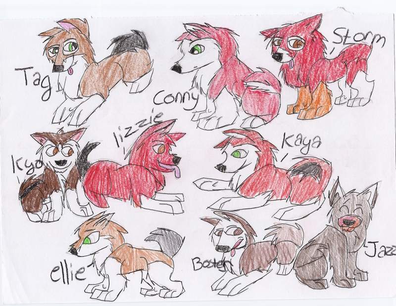entry for kolton's contest